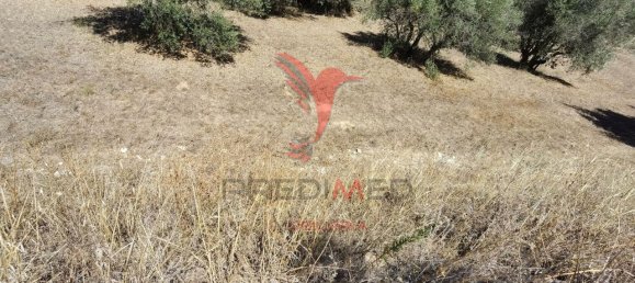 Terreno em Alcanena, Portugal 620 m² N.º 62238 22