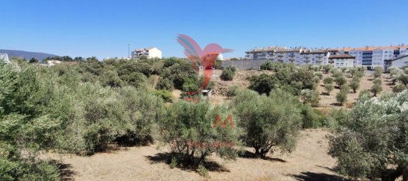 Terreno em Alcanena, Portugal 620 m² N.º 62238 21