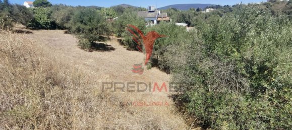Terreno em Alcanena, Portugal 620 m² N.º 62238 14