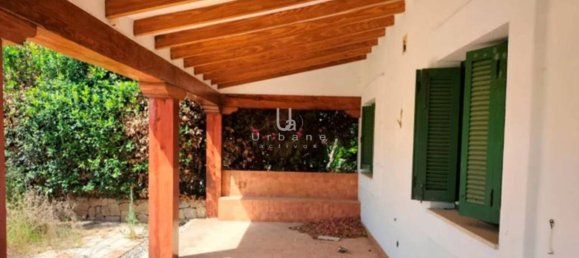 4724m² Building in Vilamarxant, Spain No. 78514 2