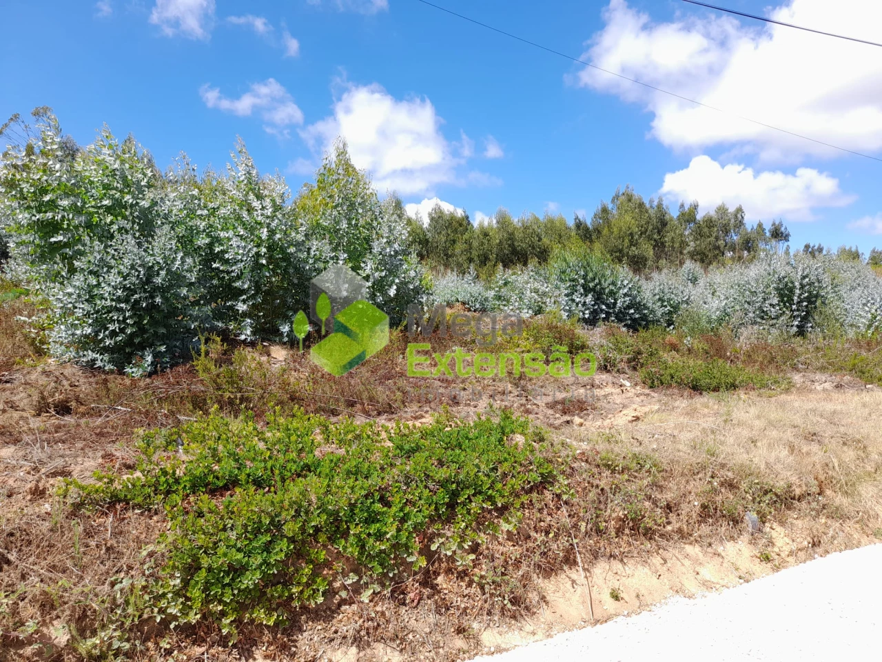 400m² Land in Torres Vedras, Portugal No. 335364