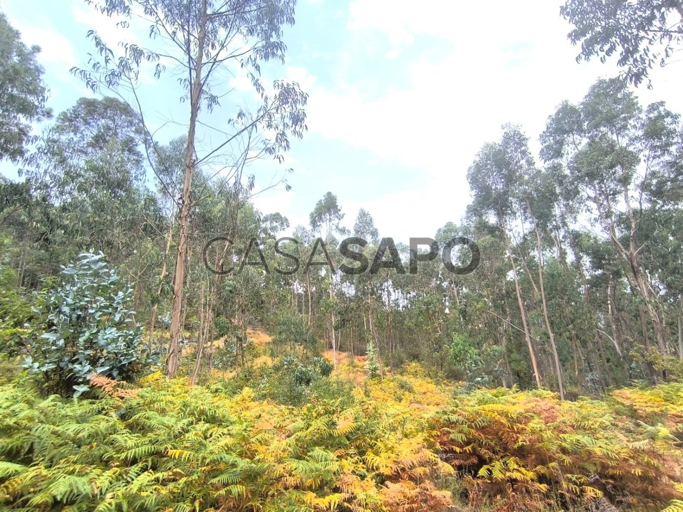  Land in Barcelos, Portugal No. 257840