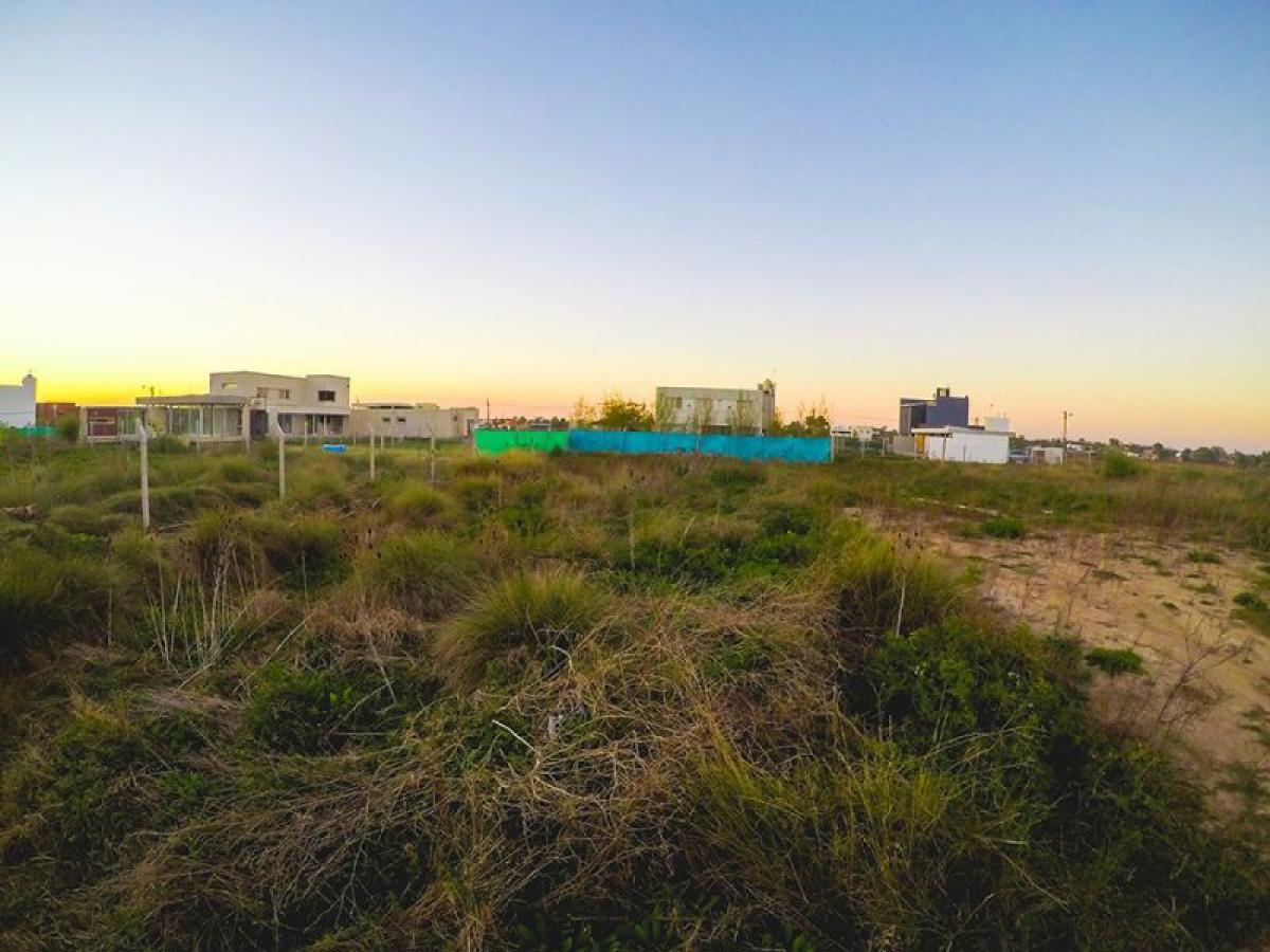  Land in Campo Creado, Argentina No. 47067