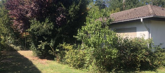 5 bedrooms Bungalow in Offenbach, Germany No. 310740 7