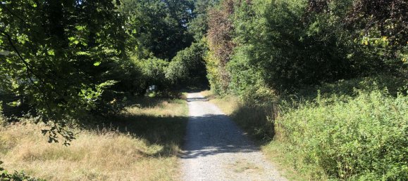 5 bedrooms Bungalow in Offenbach, Germany No. 310740 14