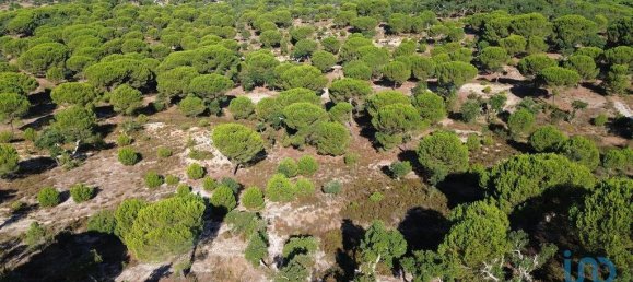 Terreno en Montargil, Portugal 770000 m² No. 130310 24