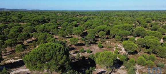 Terreno en Montargil, Portugal 770000 m² No. 130310 21