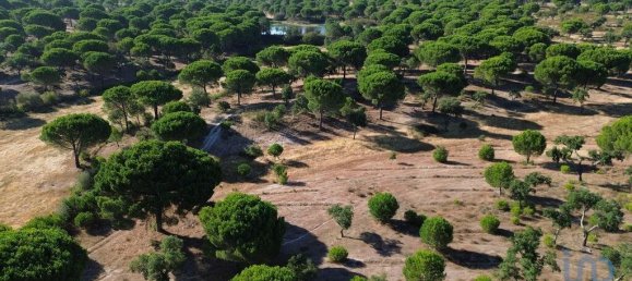 Terreno en Montargil, Portugal 770000 m² No. 130310 12