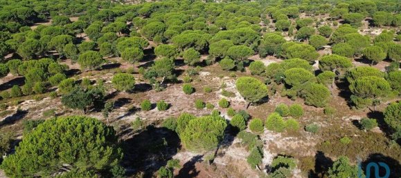 Terreno en Montargil, Portugal 770000 m² No. 130310 23