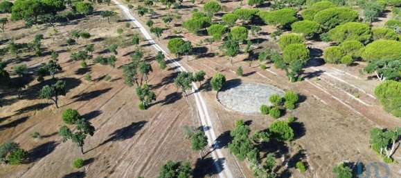 Terreno en Montargil, Portugal 770000 m² No. 130310 4