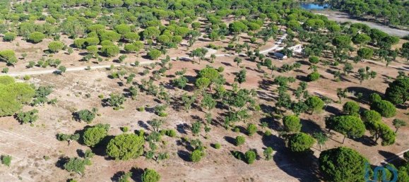 Terreno en Montargil, Portugal 770000 m² No. 130310 17