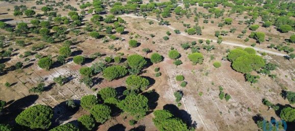 Terreno en Montargil, Portugal 770000 m² No. 130310 16
