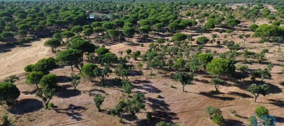 Terreno en Montargil, Portugal 770000 m² No. 130310 8