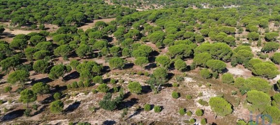 Terreno en Montargil, Portugal 770000 m² No. 130310 26