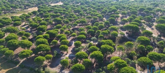 Terreno en Montargil, Portugal 770000 m² No. 130310 19
