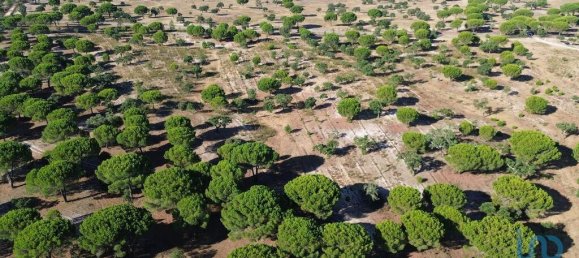 Terreno en Montargil, Portugal 770000 m² No. 130310 15