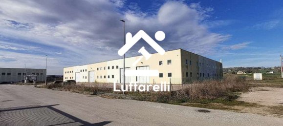 Lagerhaus in Marsciano, Italy 333m², Nr. 42121 2