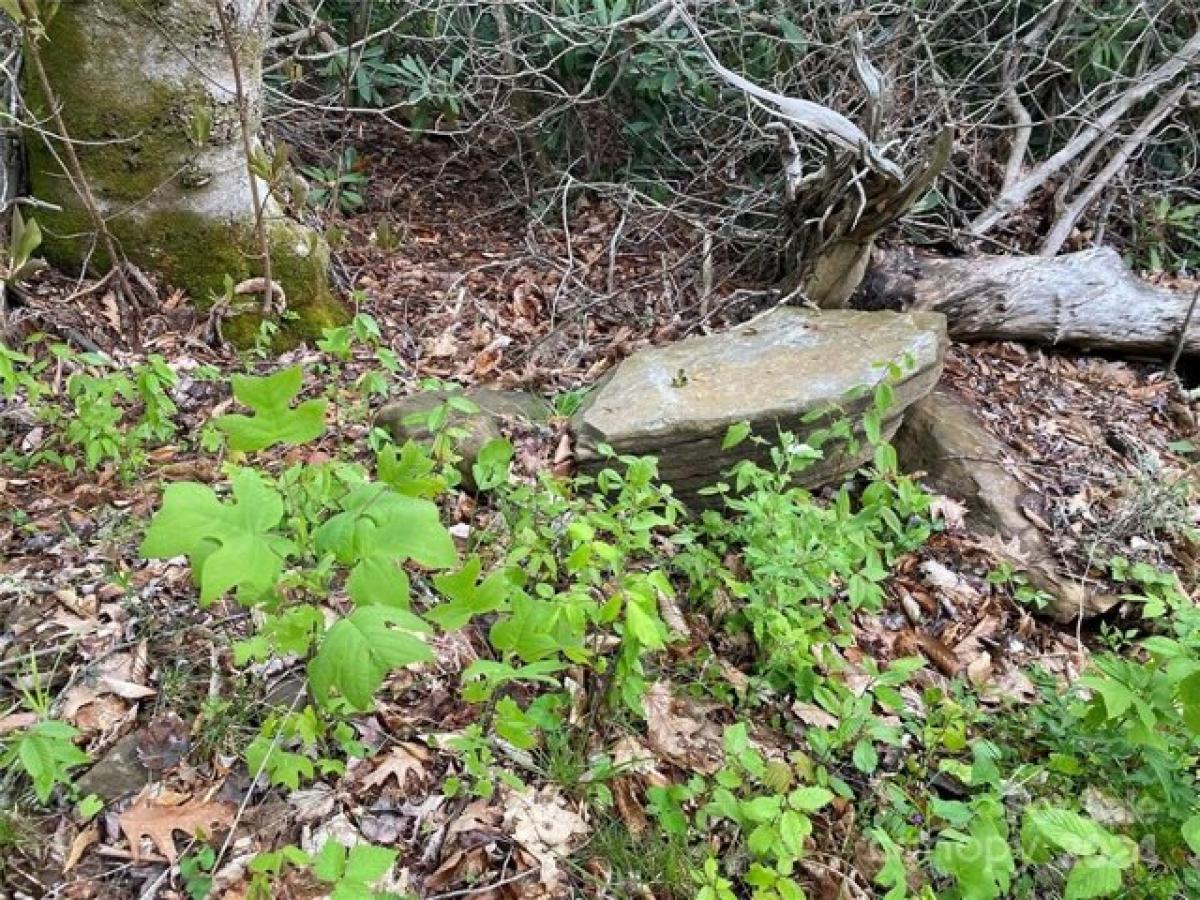  Land in Burnsville, USA No. 510577