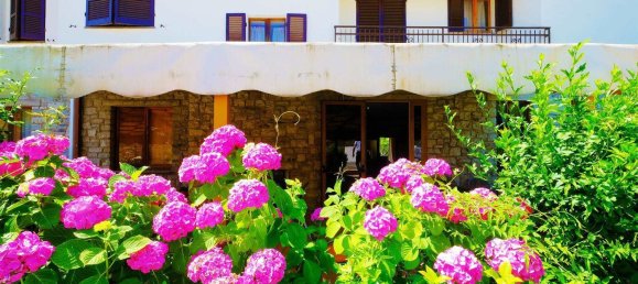 1180m² Building in Passignano sul Trasimeno, Italy No. 143443 4