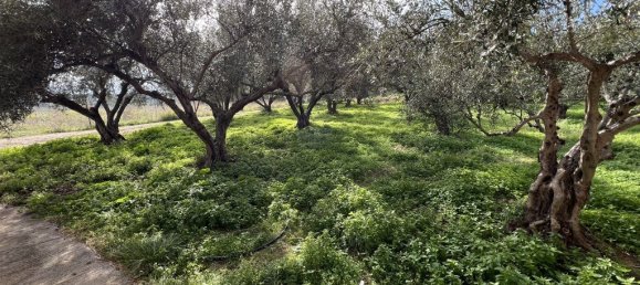 Коммерческая недвижимость с 2 спальнями в Ханья, Греция № 8856 26