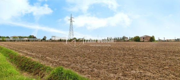 Terrain à Crevalcore, Italy No. 345972 10