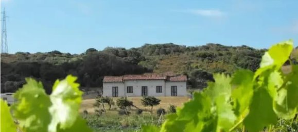 10 rooms House in Santa Teresa Gallura, Italy No. 88515 7