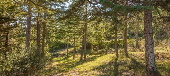 6 rooms House in Cetona, Italy No. 54059 20