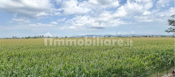 2 Schlafzimmer Wohnung in Chieri, Italy, Nr. 320118 25