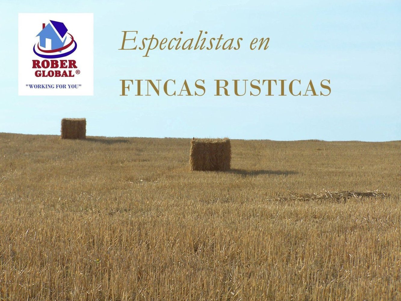 460000m² Land in Salamanca, Spain No. 27935