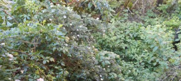 6غرفة شقة في San Colombano al Lambro, Italy رقم 3884 26