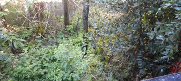 6غرفة شقة في San Colombano al Lambro, Italy رقم 3884 27