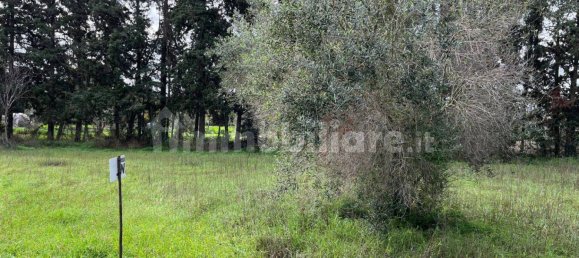 Земельный участок 2300м² в Лечче, Италия № 86445 4