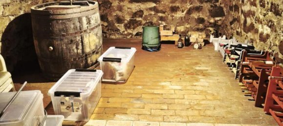 Дом с 8 комнатами в Баден-Вюртемберг, Германия № 5882 13