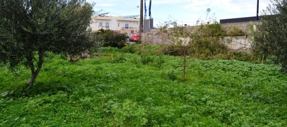 فندق في Heraklion, Greece 4000متر مربع رقم 5208 3