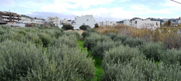 فندق في Heraklion, Greece 4000متر مربع رقم 5208 4