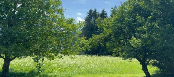 Дом с 6 комнатами в Лехашау, Австрия № 223377 22