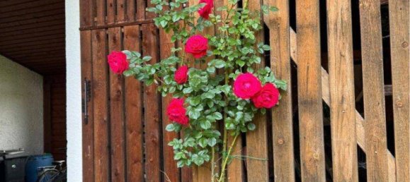 Дом с 6 комнатами в Лехашау, Австрия № 223377 21