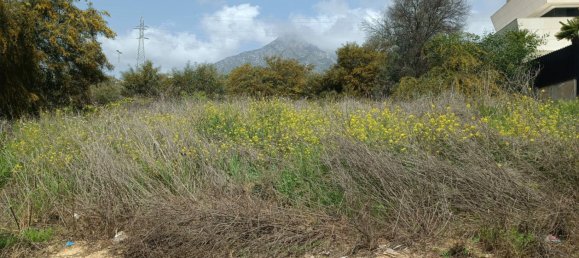  قطعة أرض في Marbella, Spain رقم 146066 4