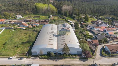 4000m² Warehouse in Marinha Grande, Portugal No. 82213