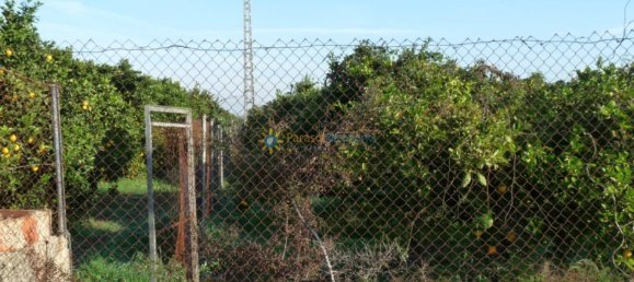 Grundstück in Valencia, Spain 20m², Nr. 177237 2