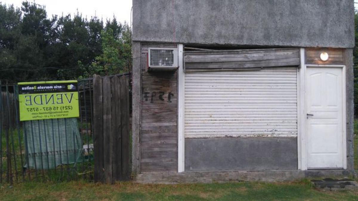 Estudio en Campo Creado, Argentina No. 89384