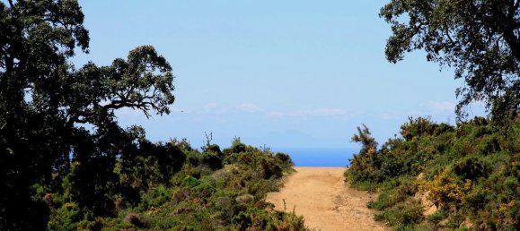Grundstück in Ojen, Spain 3454m², Nr. 81326 11