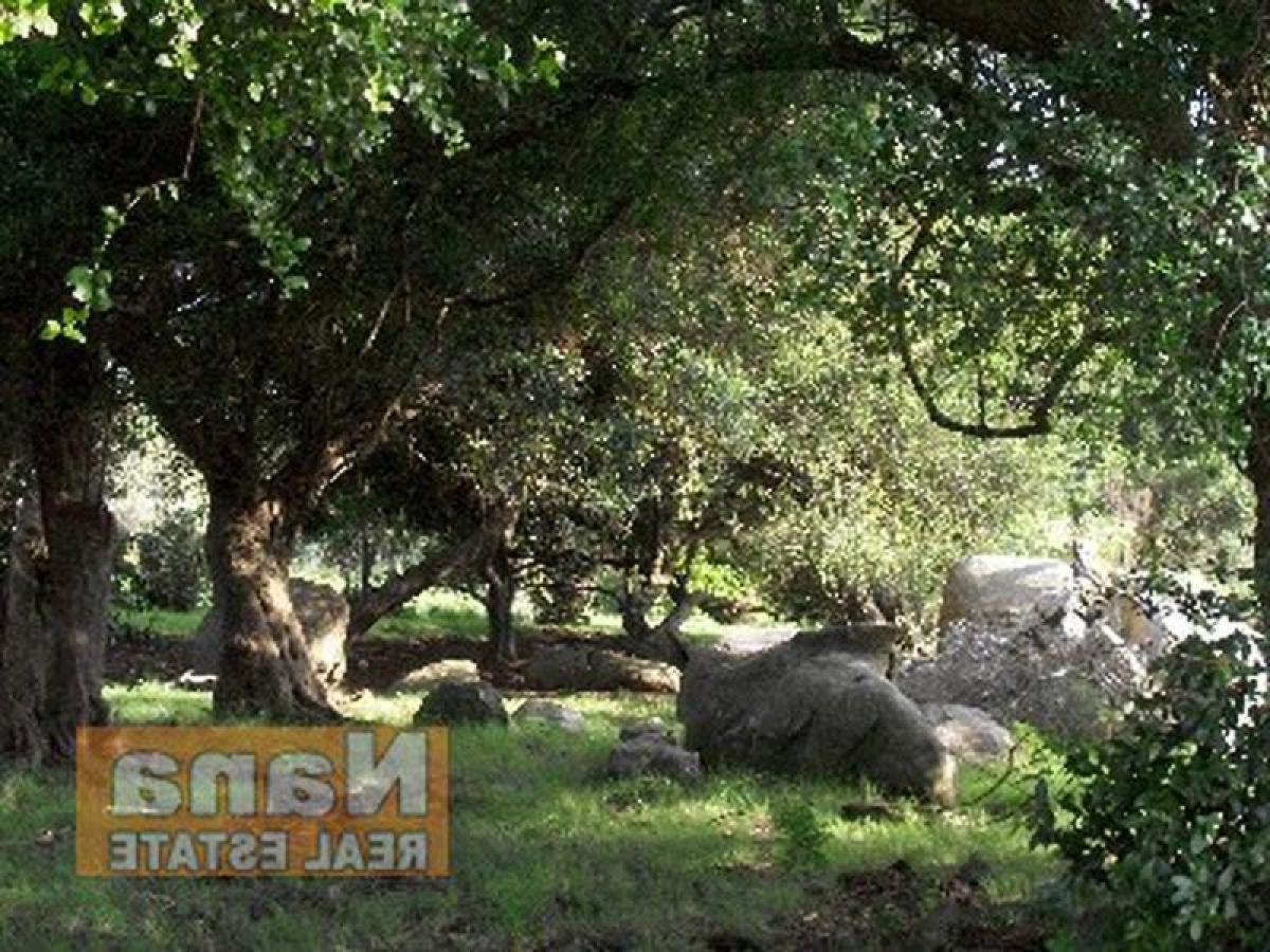 Ферма 10м² в Мальдонадо, Уругвай № 15688