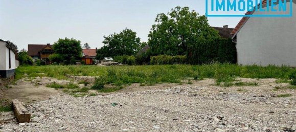  قطعة أرض في Tulln an der Donau, Austria رقم 212694 2