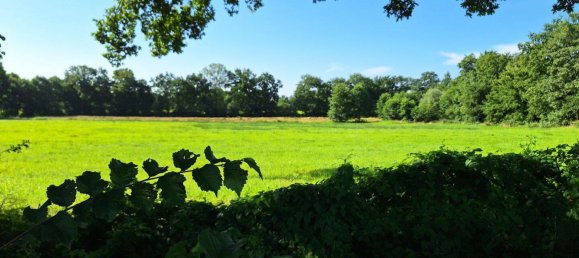 4 rooms Bungalow in Leer, Germany No. 329155 9