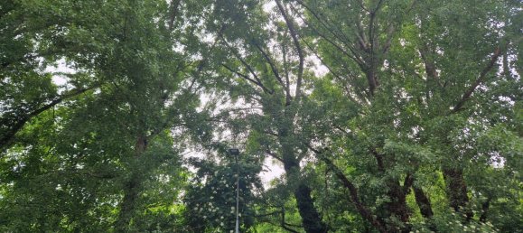 2 Schlafzimmer Wohnung in Langenzersdorf, Austria, Nr. 173578 7