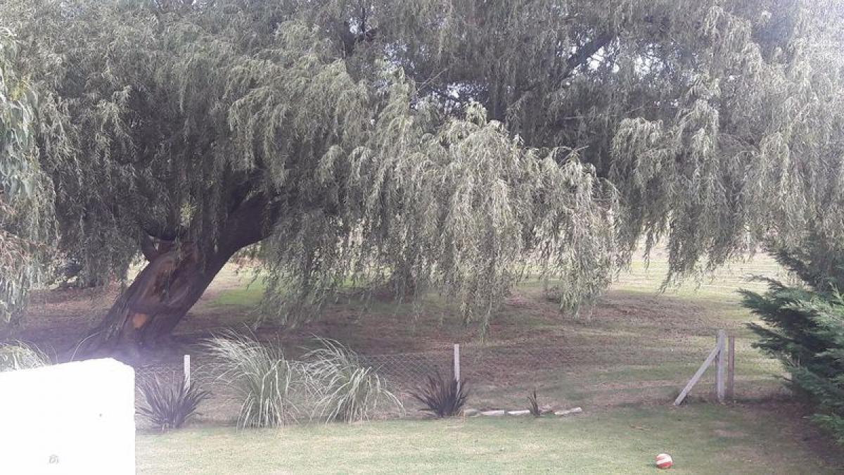 4 chambres Maison à Mar del Plata, Argentina No. 89796