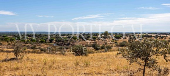 13 Schlafzimmer Villa in Grandola, Portugal, Nr. 146102 4