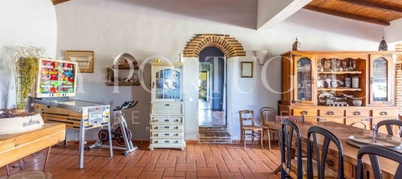 13 Schlafzimmer Villa in Grandola, Portugal, Nr. 146102 28