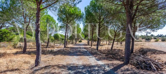 13 Schlafzimmer Villa in Grandola, Portugal, Nr. 146102 6